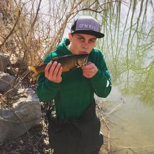 Meet your Posher, Nick